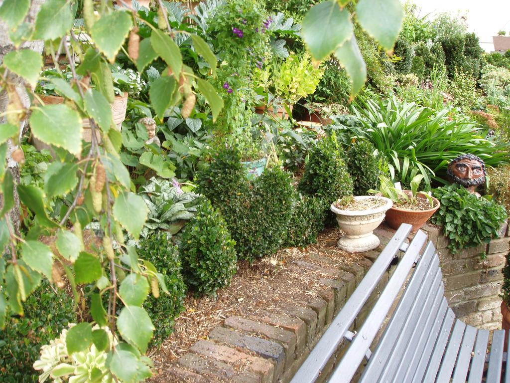 Topiary Haven Launceston Exterior photo